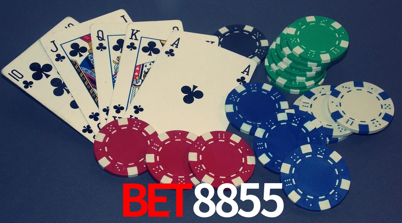 API Integration bet8855