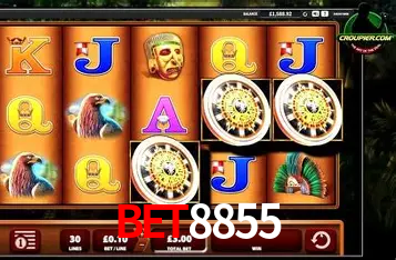 Apostas Esportivas na bet8855: Um Guia Completo